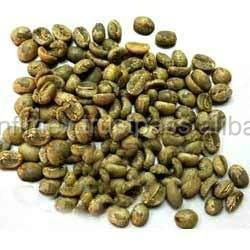 BEST PRICE HIGH QUALITY Vietnam ROBUSTA COFFEE BEANS 3