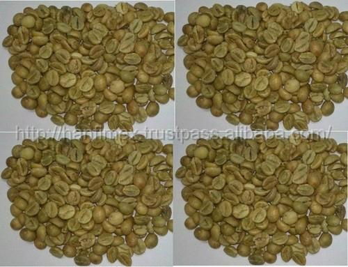 BEST PRICE HIGH QUALITY Vietnam ROBUSTA COFFEE BEANS 4