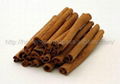 BEST PRICE HIGH QUALITY Vietnam CASSIA CINNAMON 1