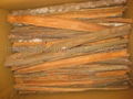 BEST PRICE HIGH QUALITY Vietnam CASSIA CINNAMON 3