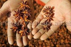 STAR ANISE