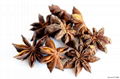 STAR ANISE 3