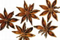 STAR ANISE 4