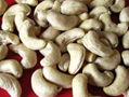 CASHEW NUT 2