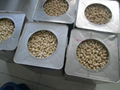 CASHEW NUT 3