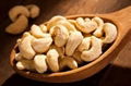 Vietnam cashew nut 1