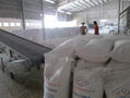 Viet Nam Tapioca Starch 4