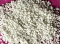 Ammonium Sulphate 1