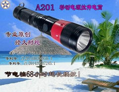 Mobile power double light zoom torch