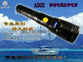 Mobile power double light zoom torch 4