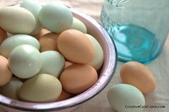 High Fresh Table Eggs Brown And White