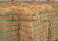 coir fiber 3