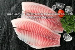 Tilapia Fillet