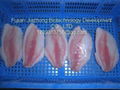 Tilapia Fillet 2