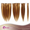  Human Hair Extensions