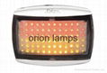 rear combination light