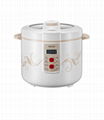 Deluxe Rice Cooker