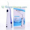 Dental water flosser 1