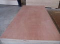  high grade commercial plywood for construction
