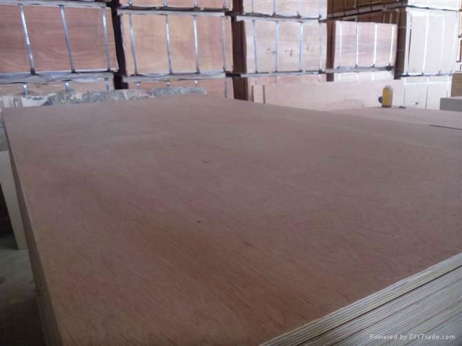 high quality best commercial plywood 