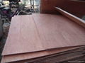 competitive price commercial plywood