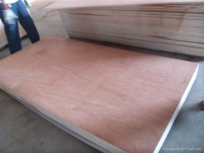   Bingtangor commercial plywood 