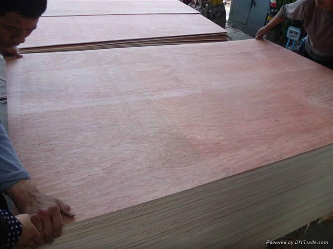 best bintangor commercial plywood 