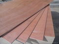 Veneer Coated Commercial Plywood  1