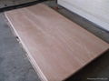 Best price commercial plywood for