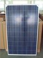 250W solar panel with competitive price