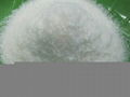 DESICCATED COCONUT FINE GRADE 2