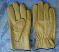 cowhide leather gloves