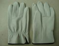 lamskin glove 