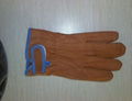 dog grain leather glove