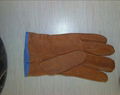 dog grain leather glove 1