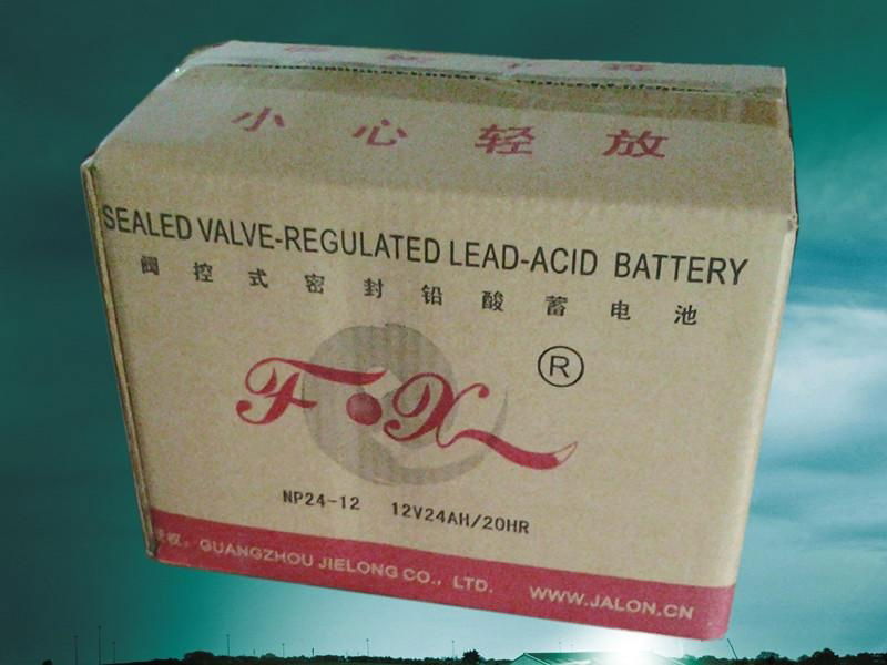 EFOX BATTERY 12V24AH