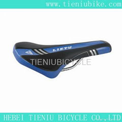 bicycle saddle