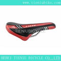 bicycle saddle 2