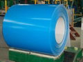 PPGI Steel Sheet and Coil  1