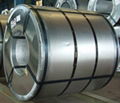 Galvanized Steel Sheet and Coil