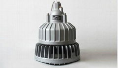 Solid maintaining-free Explosion-proof LED Lamp BAX 1207