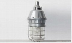 Explosion-proof Corrosion-proof MH HPS Lamp BAD 1101