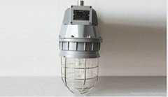 Explosion-proof  Corrosion-proof MH  HPS Lamp BAD 1102