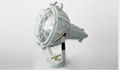 Explosion-proof Projecting HID Lamp BAT 51 1