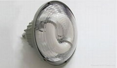 Explosion-proof lamp BAD98