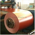 High Thermal Resistance Prepainted Galvanized Steel 2