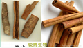 cinnamon extract cassia bark Extractive
