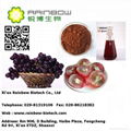 grape seed extract 1