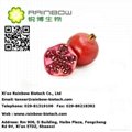 Pomegranate Extract 2