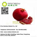 Pomegranate Extract 3